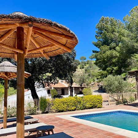 Finca El Sueno Andaluz Villanueva de la Concepción Εξωτερικό φωτογραφία