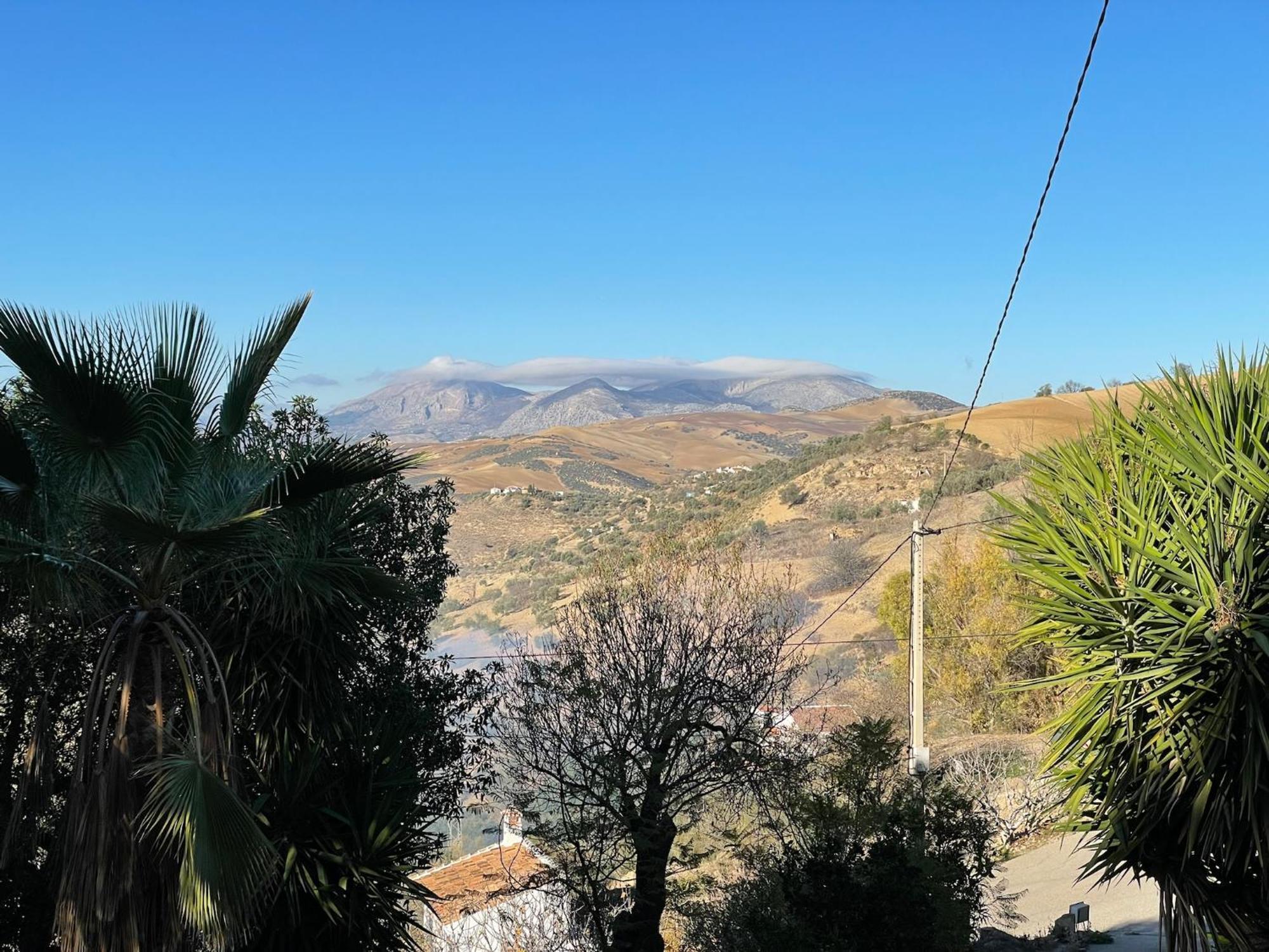 Finca El Sueno Andaluz Villanueva de la Concepción Εξωτερικό φωτογραφία