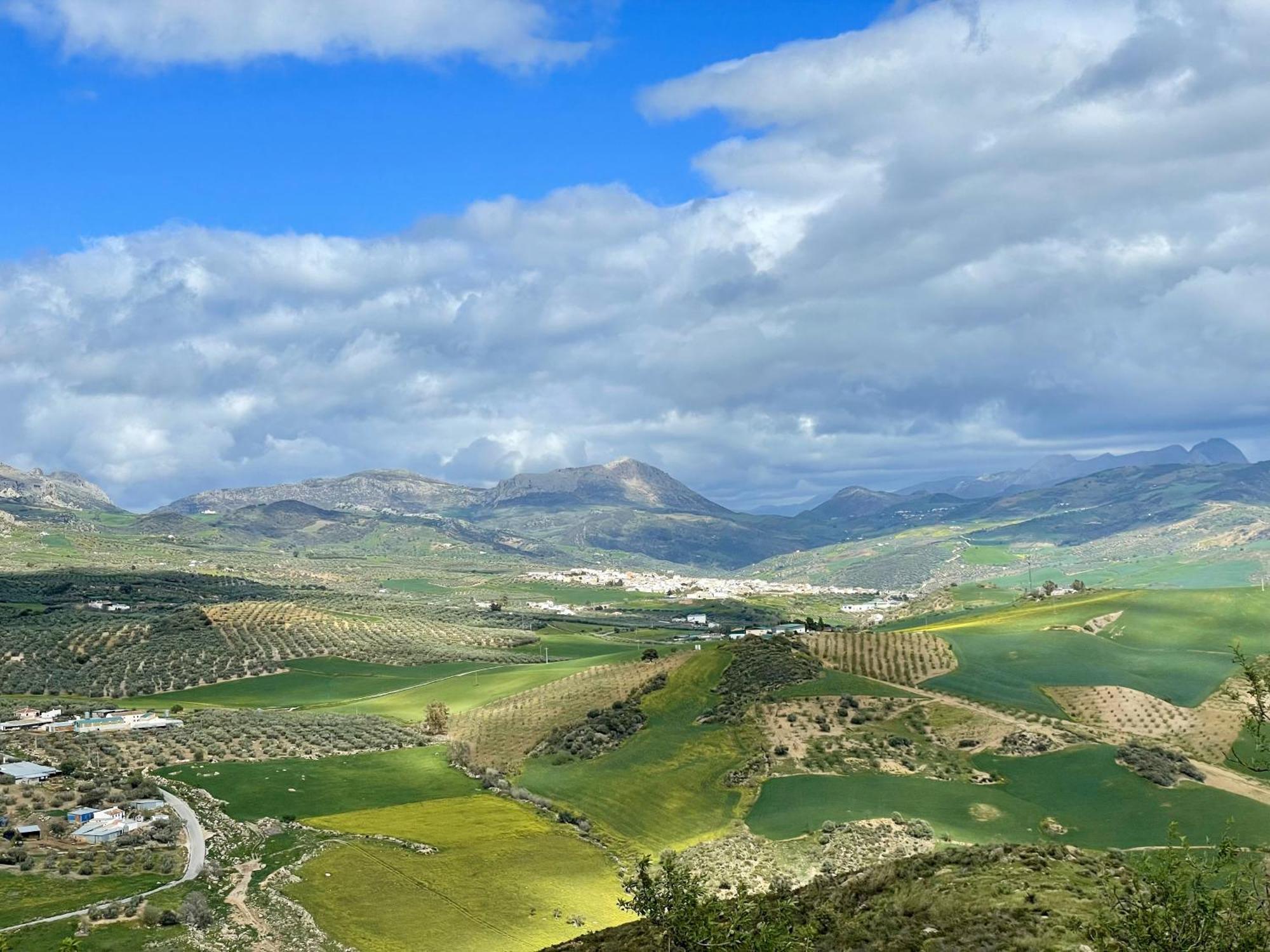 Finca El Sueno Andaluz Villanueva de la Concepción Εξωτερικό φωτογραφία