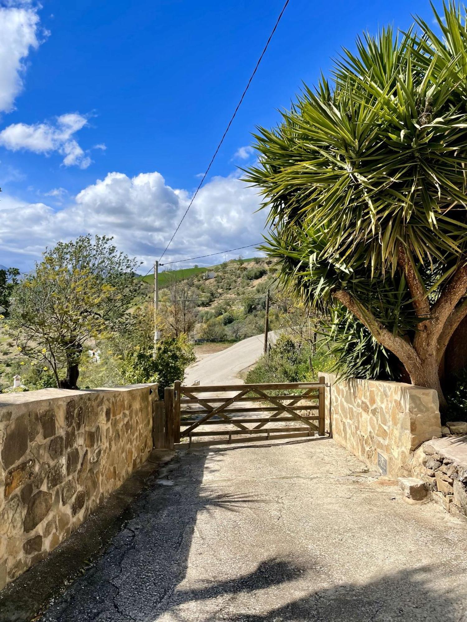 Finca El Sueno Andaluz Villanueva de la Concepción Εξωτερικό φωτογραφία