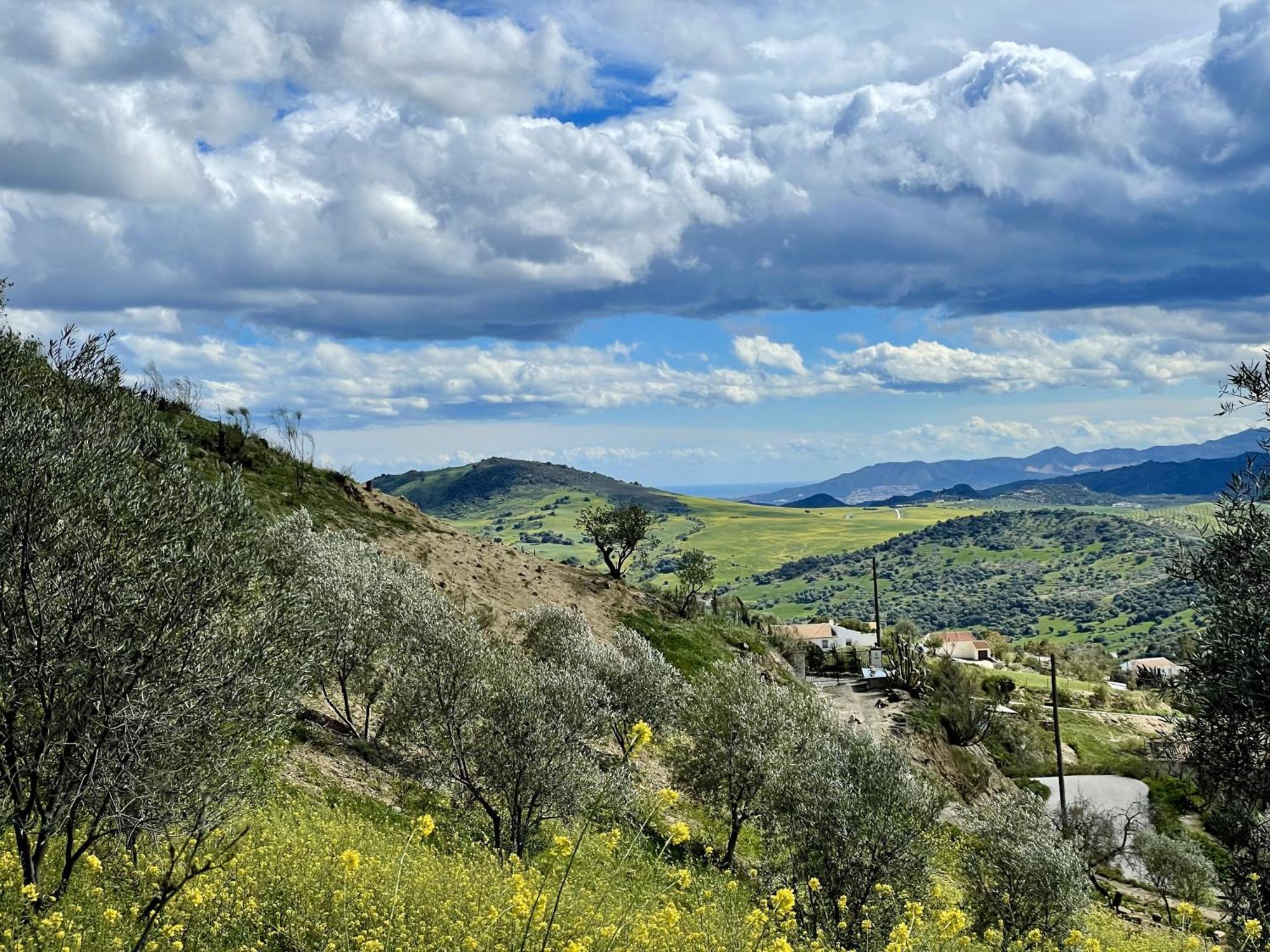 Finca El Sueno Andaluz Villanueva de la Concepción Εξωτερικό φωτογραφία