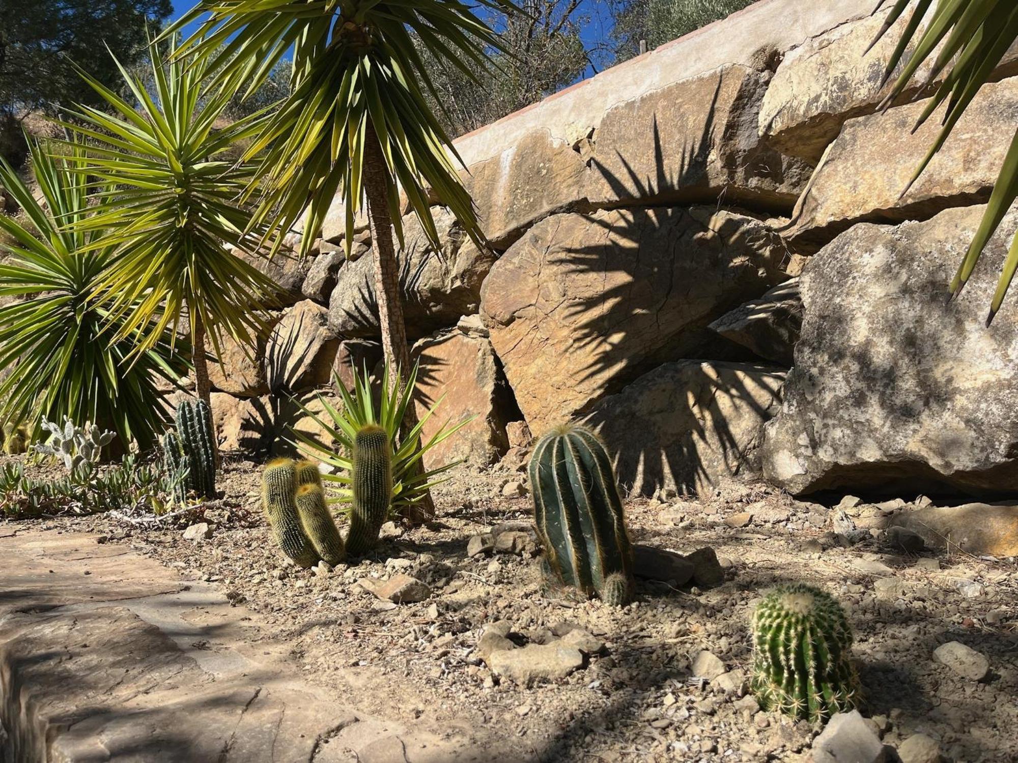 Finca El Sueno Andaluz Villanueva de la Concepción Εξωτερικό φωτογραφία