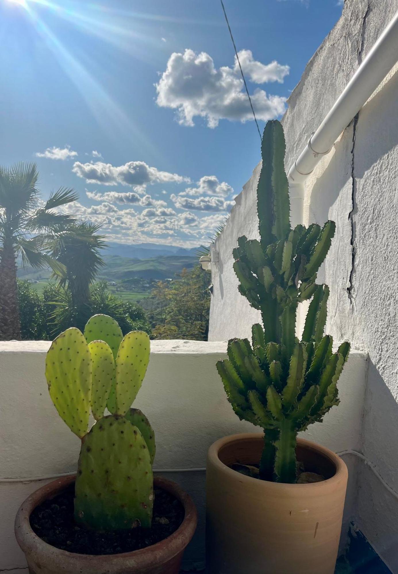 Finca El Sueno Andaluz Villanueva de la Concepción Εξωτερικό φωτογραφία